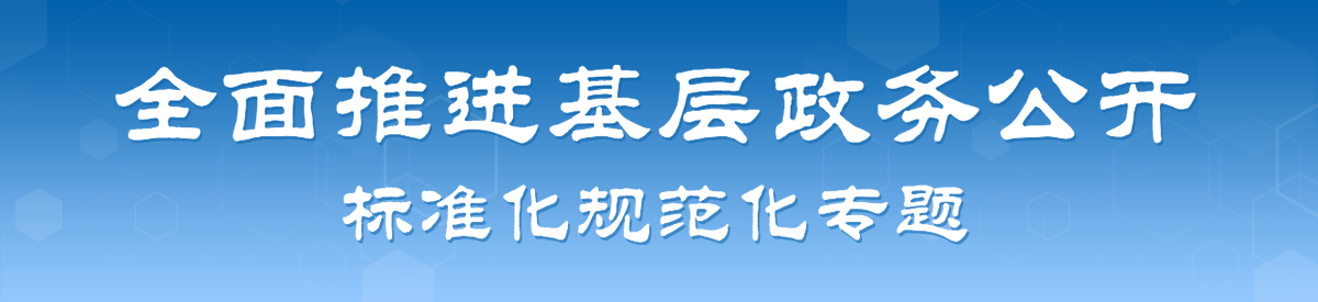 全面推进基层政务公开标准化规范化专题